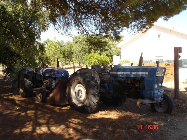 FORD E LEYLAND EM ALBERGARIA, GRANDOLA