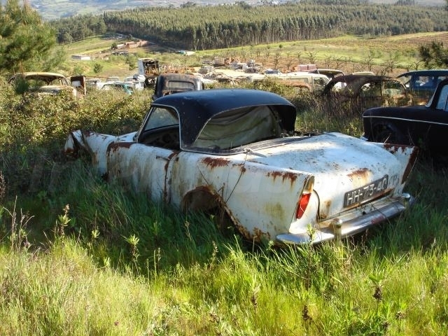 Sunbeam Tiger