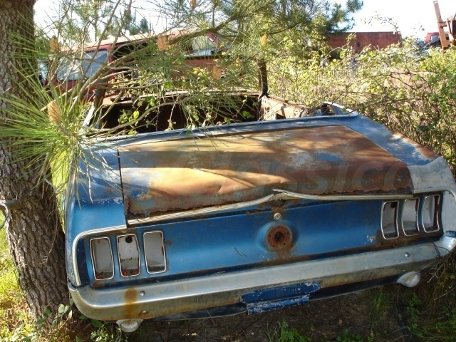 Mustang Cabriolet