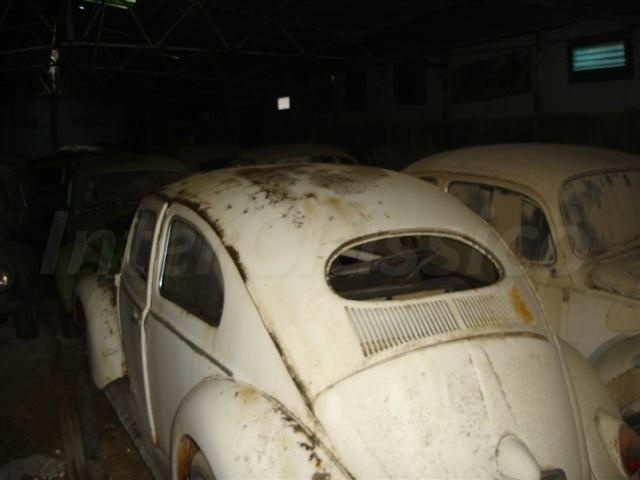 Vw oculo pequeno