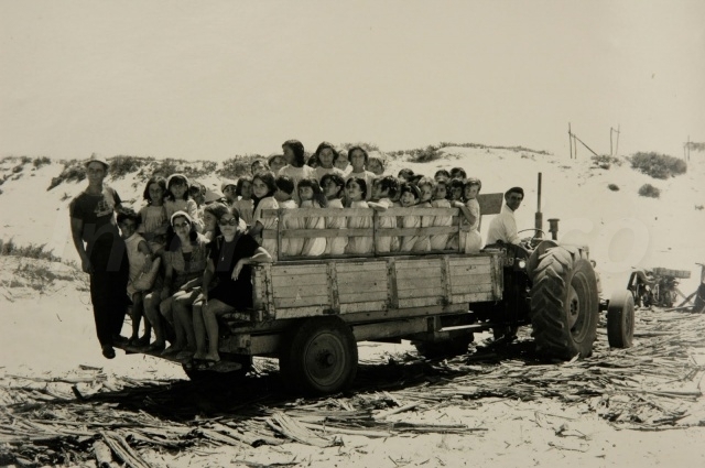 Transporte para a Praia da Comporta