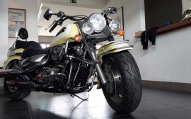 Suzuki 1500 Intruder image