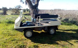 Steyr Haflinger image