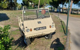 Steyr Haflinger image