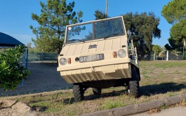 Steyr Haflinger image