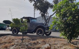 Ford A Special image
