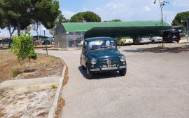 Fiat 600 D image