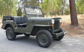 Jeep willys Diesel Image