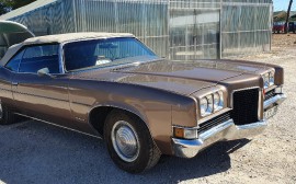 Pontiac Catalina image