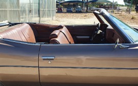 Pontiac Catalina image