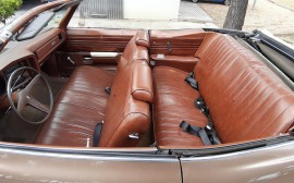 Pontiac Catalina image