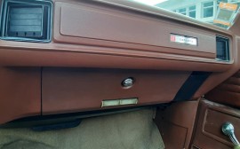 Pontiac Catalina image