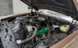 Pontiac Catalina image