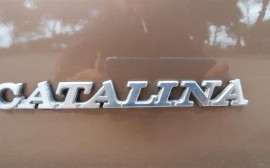 Pontiac Catalina image