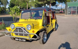 Morris Mini Moke Image