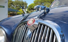 Jaguar 3.8 S image