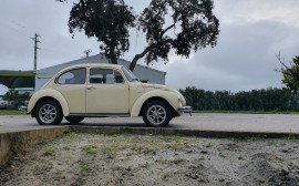 Volkswagen 1303 image