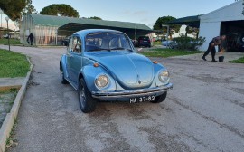 Volkswagen 1303 image