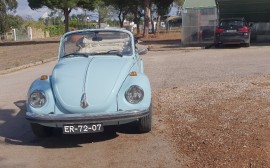 Volkswagen VW 1303 LS Cabriolet image