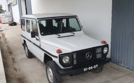 Mercedes Benz G 300D Image