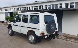 Mercedes Benz G 300D image