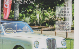 Lancia Aurelia Rosa Doro UNICO image