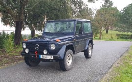 Mercedes Benz GD 300 Image