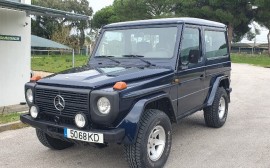 Mercedes Benz GD 300 Image