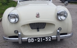 Triumph TR 2 Long door image