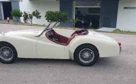 Triumph TR 2 Long door image