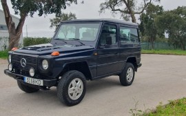 Mercedes Benz GD 300 Image