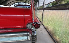 Cadillac 62 Convertible image