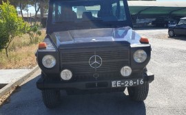 Mercedes Benz GD 300 image