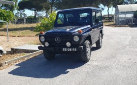 Mercedes Benz GD 300 image