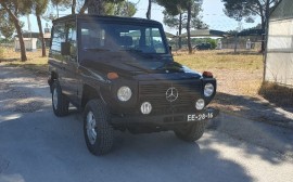 Mercedes Benz GD 300 image