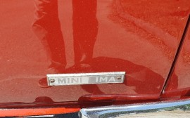 Mini IMA image