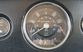 Mini IMA image
