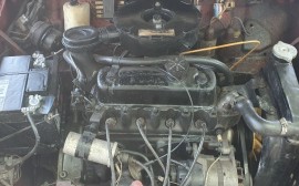 Mini IMA image